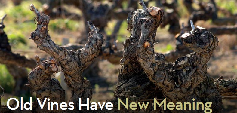 Old vines have new meaning.