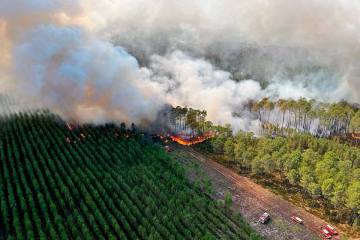 A View of smoke billowing from a pine forest on fire in the town of Landiras on July 13, 2022 AP