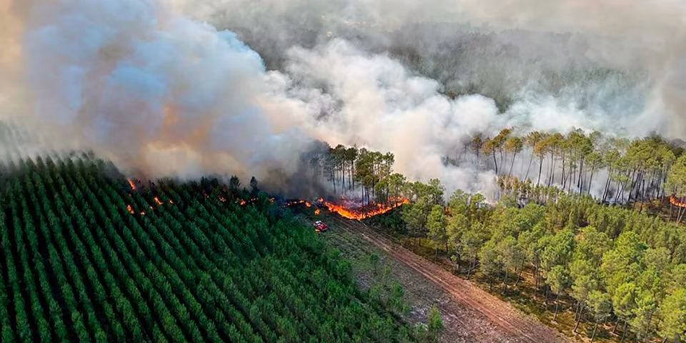 A View of smoke billowing from a pine forest on fire in the town of Landiras on July 13, 2022 AP